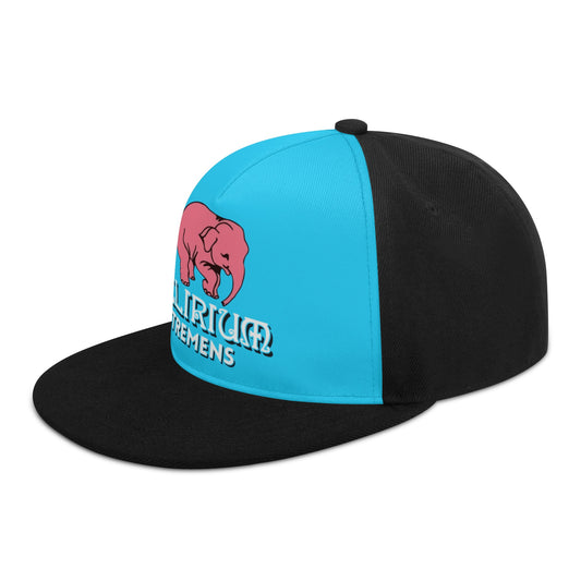 Caps Snapback Delirium Tremens logo DrinkandArt