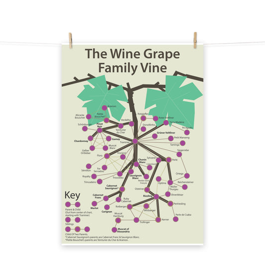 Poster pop chart The Wine Grape Family Vine DrinkandArt