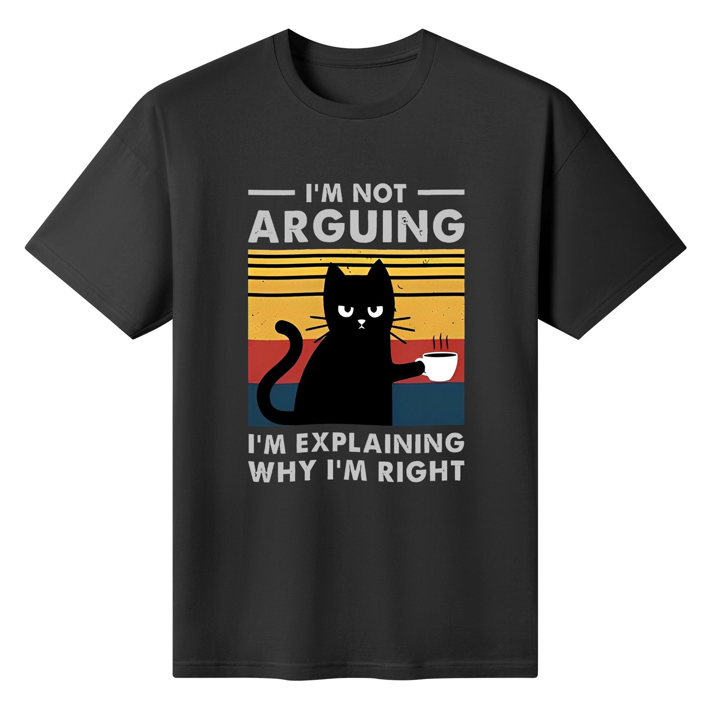 T-Shirt im not arguing im explaining why im right DrinkandArt