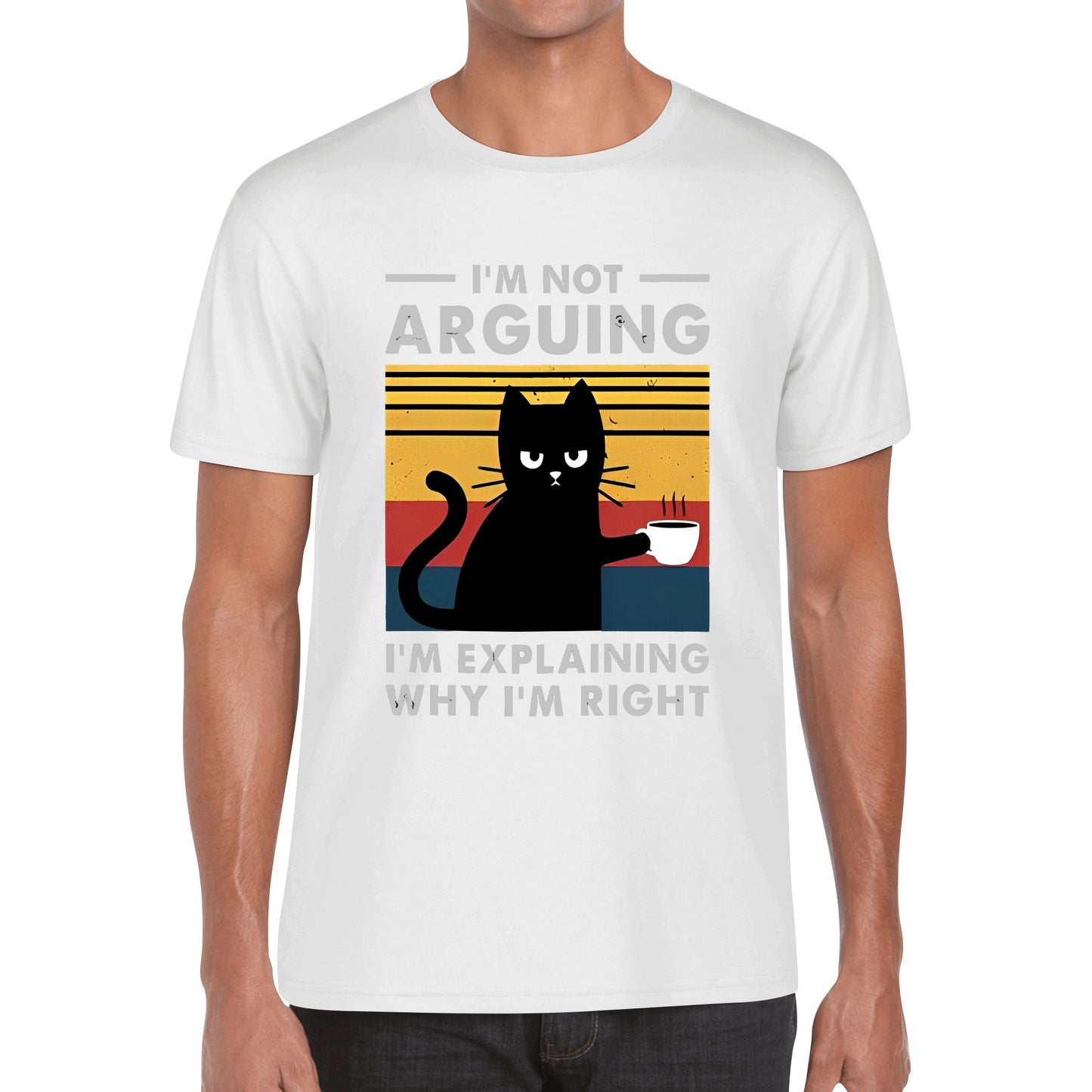 T-Shirt im not arguing im explaining why im right DrinkandArt