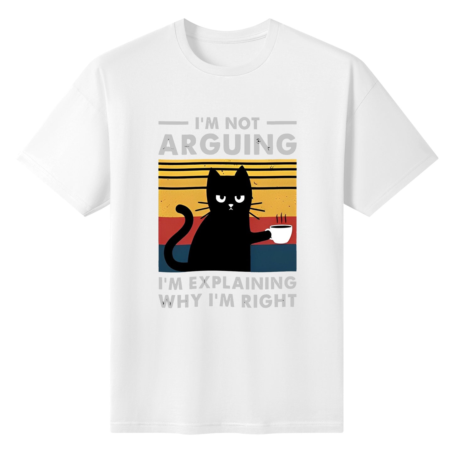 T-Shirt im not arguing im explaining why im right DrinkandArt